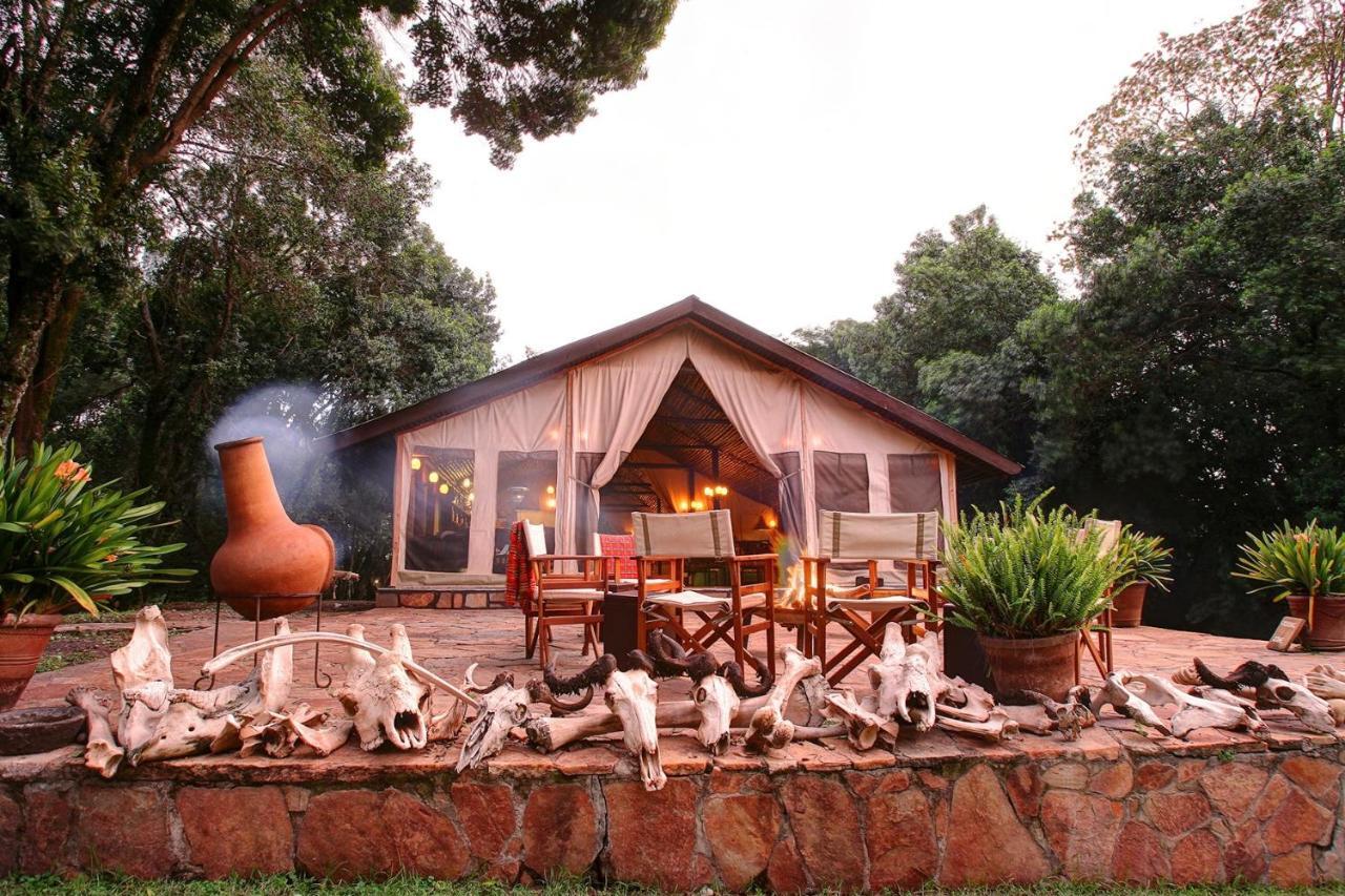 Hotel Sekenani Camp Maasai Mara Exterior foto
